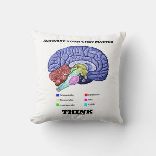 Activate Your Grey Matter Think Anatomical Brain Cushion
