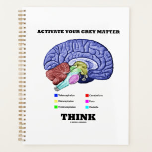 Activate Your Grey Matter Think Anatomical Brain Planner