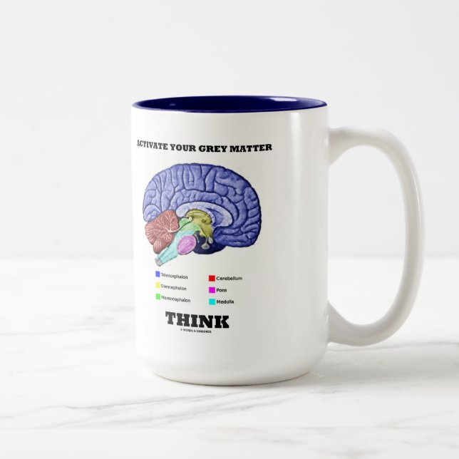 Activate Your Grey Matter Think Anatomical Brain Two-Tone Coffee Mug (Right)