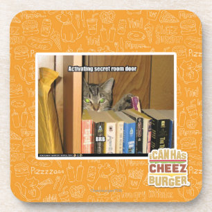 Activating Secret Room Door Coaster