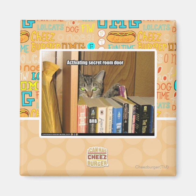 Activating Secret Room Door Magnet (Front)