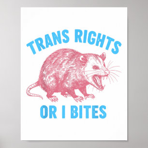 Activist Lgbtq Transgender Equality Trans Rights O Poster