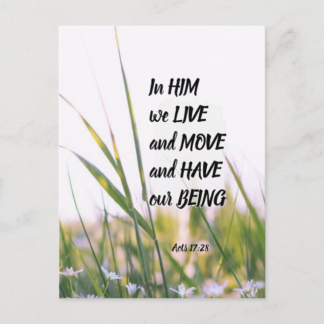Acts 17:28 In Him we Live and Move Bible Verse Postcard (Front)