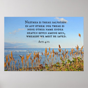 Acts 4:12 Neither is there salvation in any other. Poster
