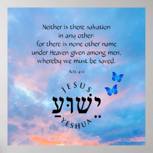 Acts 4:12 poster