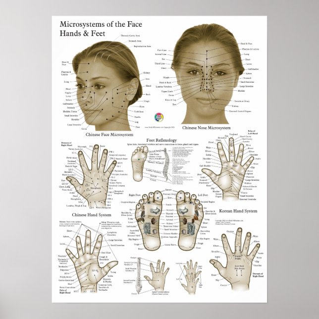 Acupressure Points Face Hand Feet Poster (Front)