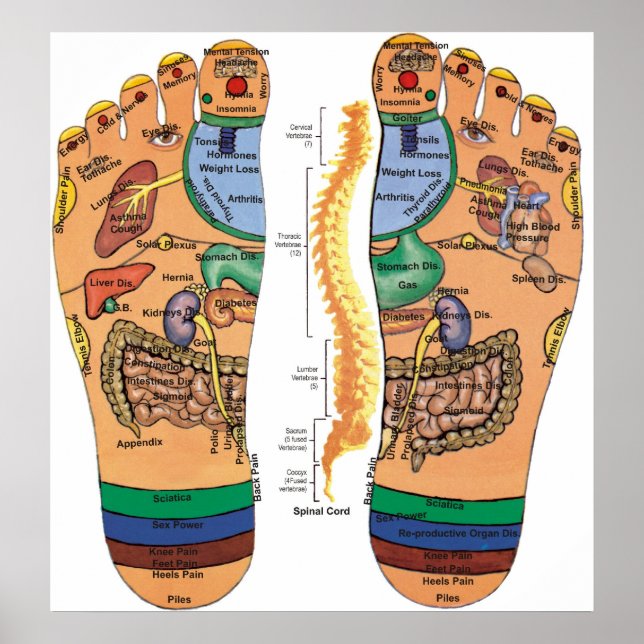 Acupressure Points Pressure Chart for the Feet (Front)