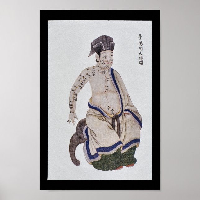 Acupuncture Large Intestine Meridian Hand Yangming Poster (Front)