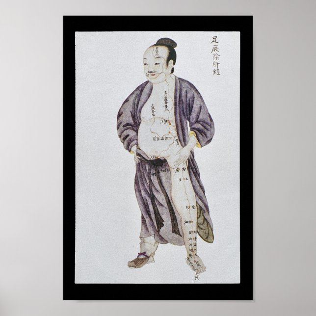 Acupuncture Liver Meridian Foot Jueyin Poster (Front)