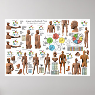 Acupuncture Meridian Point Locations Poster