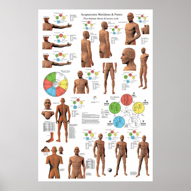Acupuncture Meridian Points and Pathways Poster (Front)