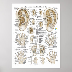 Acupuncture Microsystem Points Poster