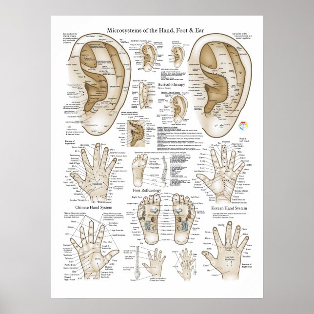Acupuncture Microsystem Points Poster (Front)