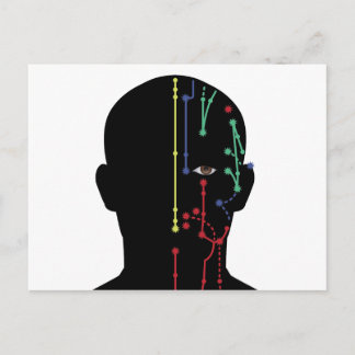 Acupuncture Model Postcard