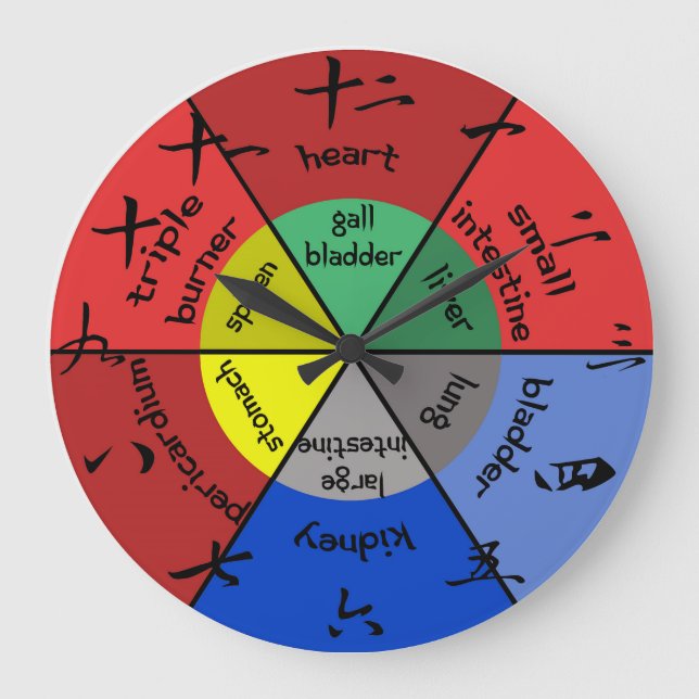 Acupuncture Organ Clock (Front)