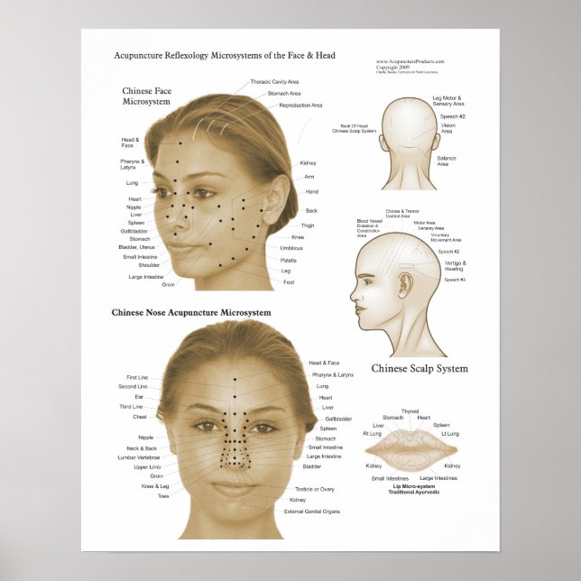 Acupuncture Reflexology Face & Head Microsystems Poster (Front)