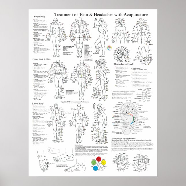 Acupuncture Treatment of Pain and Headaches Poster (Front)