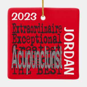 Acupuncturist Extraordinaire CUSTOM Ceramic Ornament