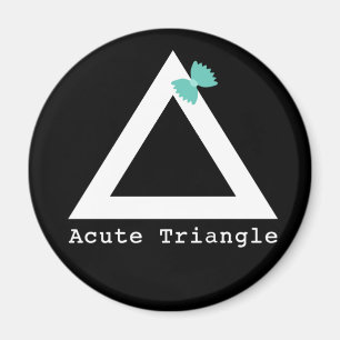 Acute Triangle Magnet