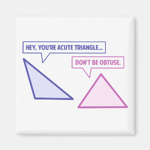 Acute Triangle Obtuse Angle Magnet