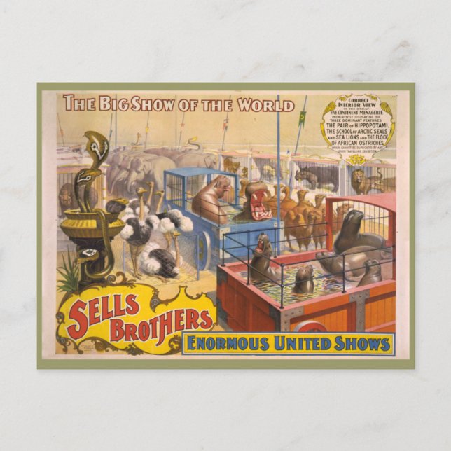 Adam Forepaugh and Sells Brothers Circus Poster Postcard (Front)