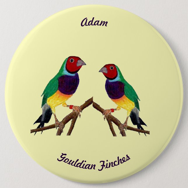 ADAM ~ Gouldian Finch ~ Personalised ~ 6 Cm Round Badge (Front)
