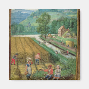 Add 18855 September: harvesting, ploughing and sow Magnet