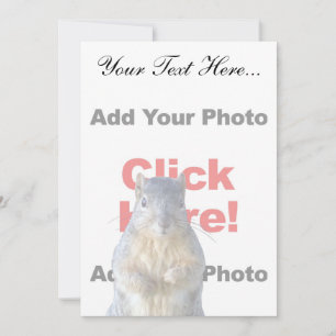 Add A Squirrel Custom