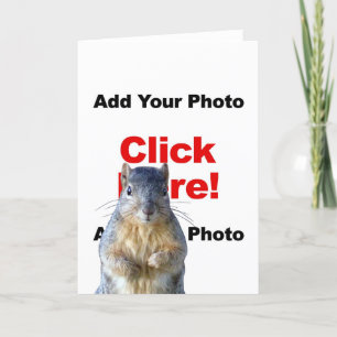 Add A Squirrel Custom Photo Greeting Card