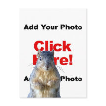 Add A Squirrel Custom Photo Postcard