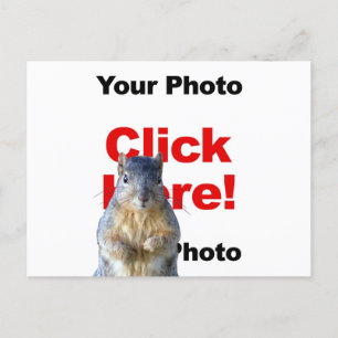 Add A Squirrel Custom Photo Postcard