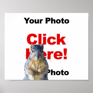 Add A Squirrel Custom Photo Poster