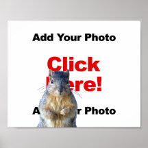 Add A Squirrel Custom Photo Poster
