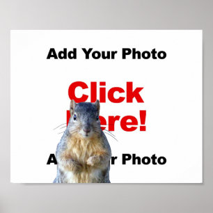Add A Squirrel Custom Photo Poster