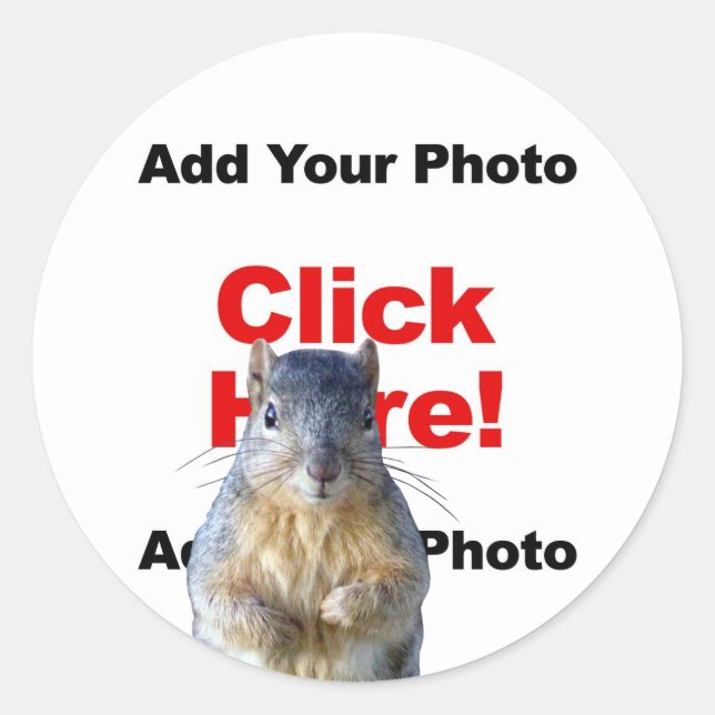 Add A Squirrel Custom Photo Sticker (Front)