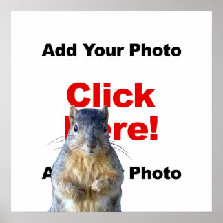 Add A Squirrel Custom Poster