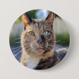 Add Cat Photo Customise 7.5 Cm Round Badge