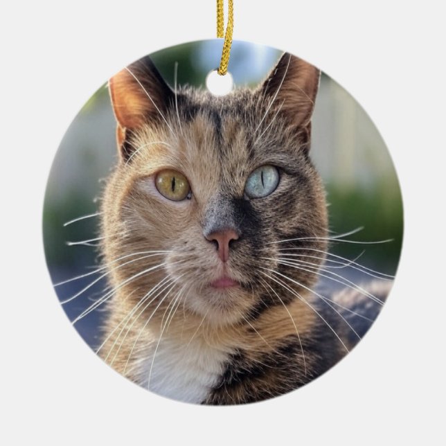 Add Cat Photo Customise Ceramic Ornament (Front)