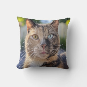 Add Cat Photo Customise Cushion