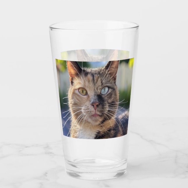 Add Cat Photo Customise Glass (Front)