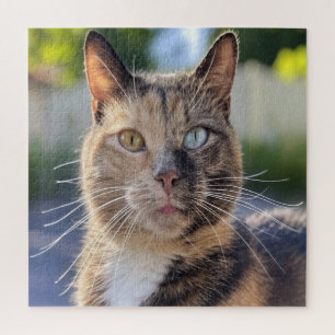 Add Cat Photo Customise Jigsaw Puzzle