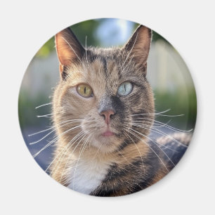 Add Cat Photo Customise Magnet