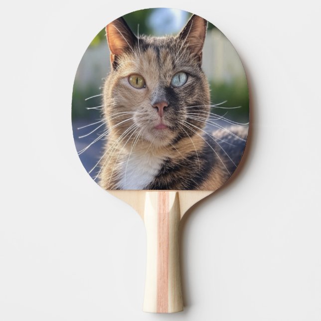 Add Cat Photo Customise Ping Pong Paddle (Front)