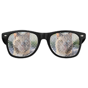 Add Cat Photo Customise Retro Sunglasses