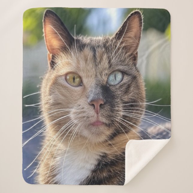 Add Cat Photo Customise Sherpa Blanket (Front)