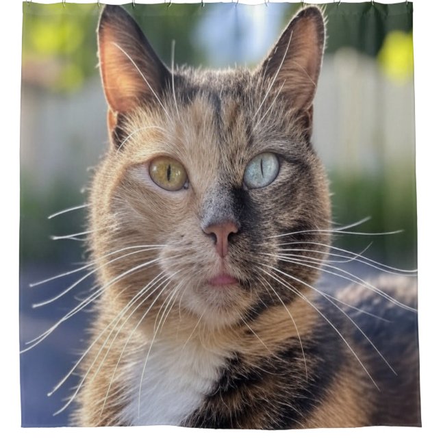 Add Cat Photo Customise Shower Curtain (Front)