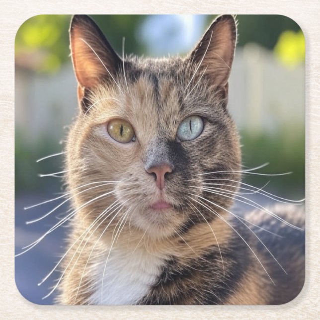 Add Cat Photo Customise Square Paper Coaster (Front)