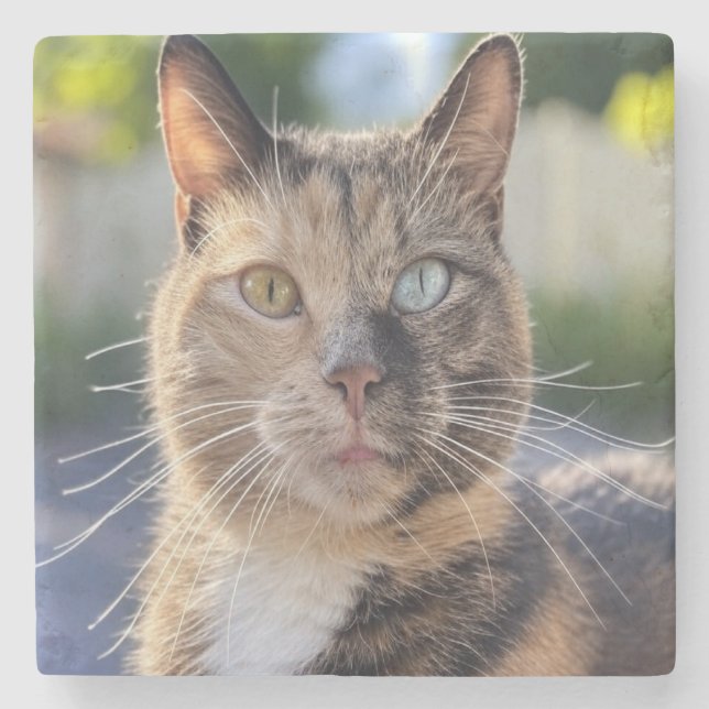 Add Cat Photo Customise Stone Coaster (Front)