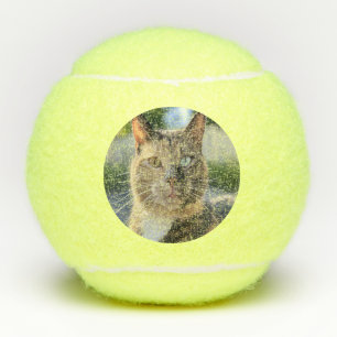 Add Cat Photo Customise Tennis Balls
