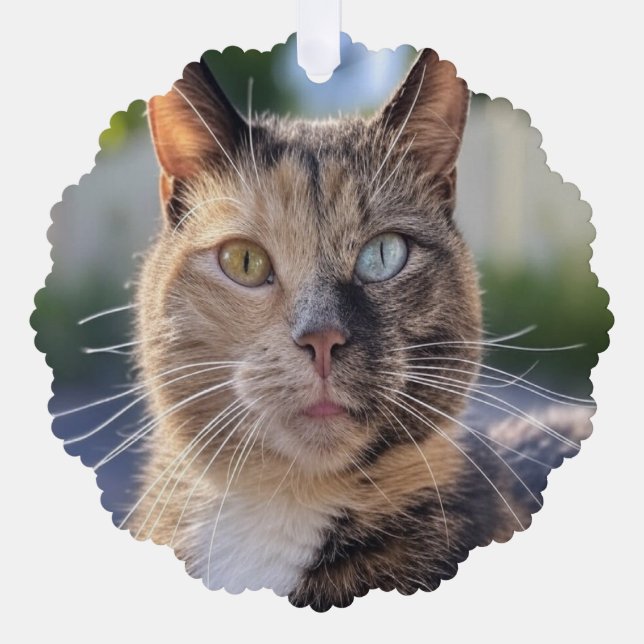 Add Cat Photo Customise Tree Decoration Card (Front)